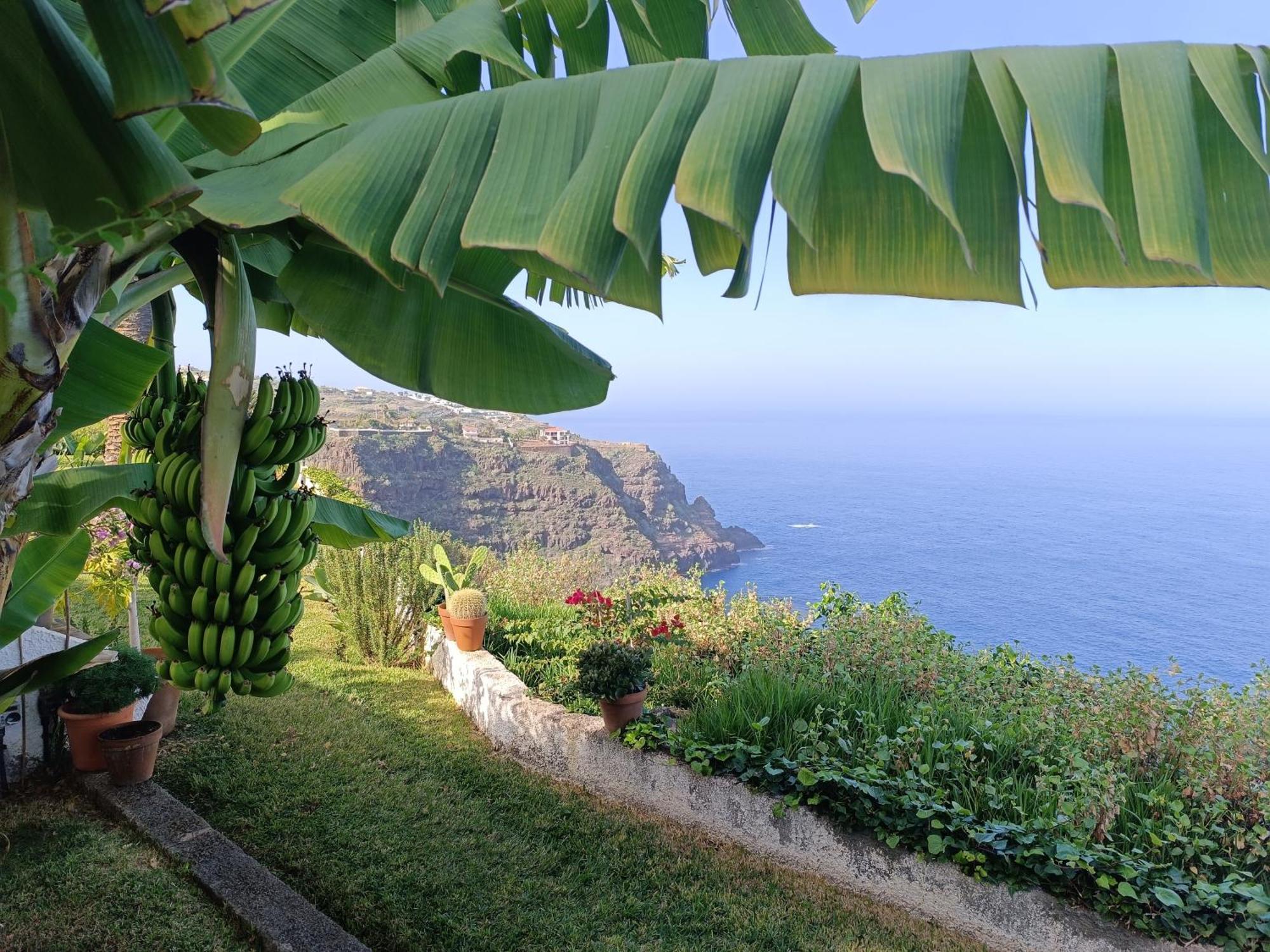 Apartament Sunset La Palmita La Victoria de Acentejo Zewnętrze zdjęcie
